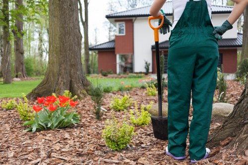 Crew finishing a clearance in a large family garden near the park